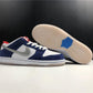 Dunk SB Low Ishod Wair BMW Shoes Sneakers - nk0001542 image 2
