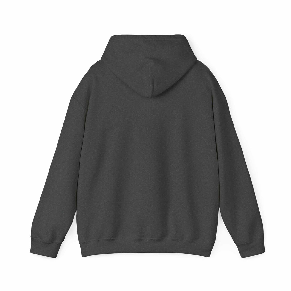 RBRM Tour Hooded Sweatshirt image 17