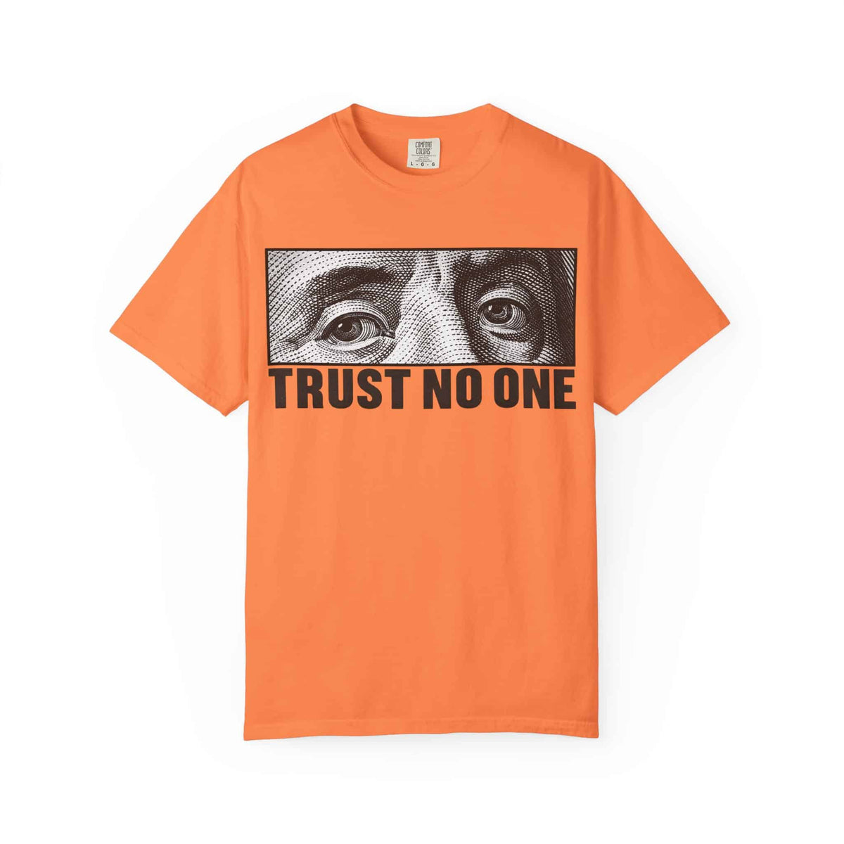 Graphic Print  Unisex Garment-Dyed T-shirt - POD0039 image