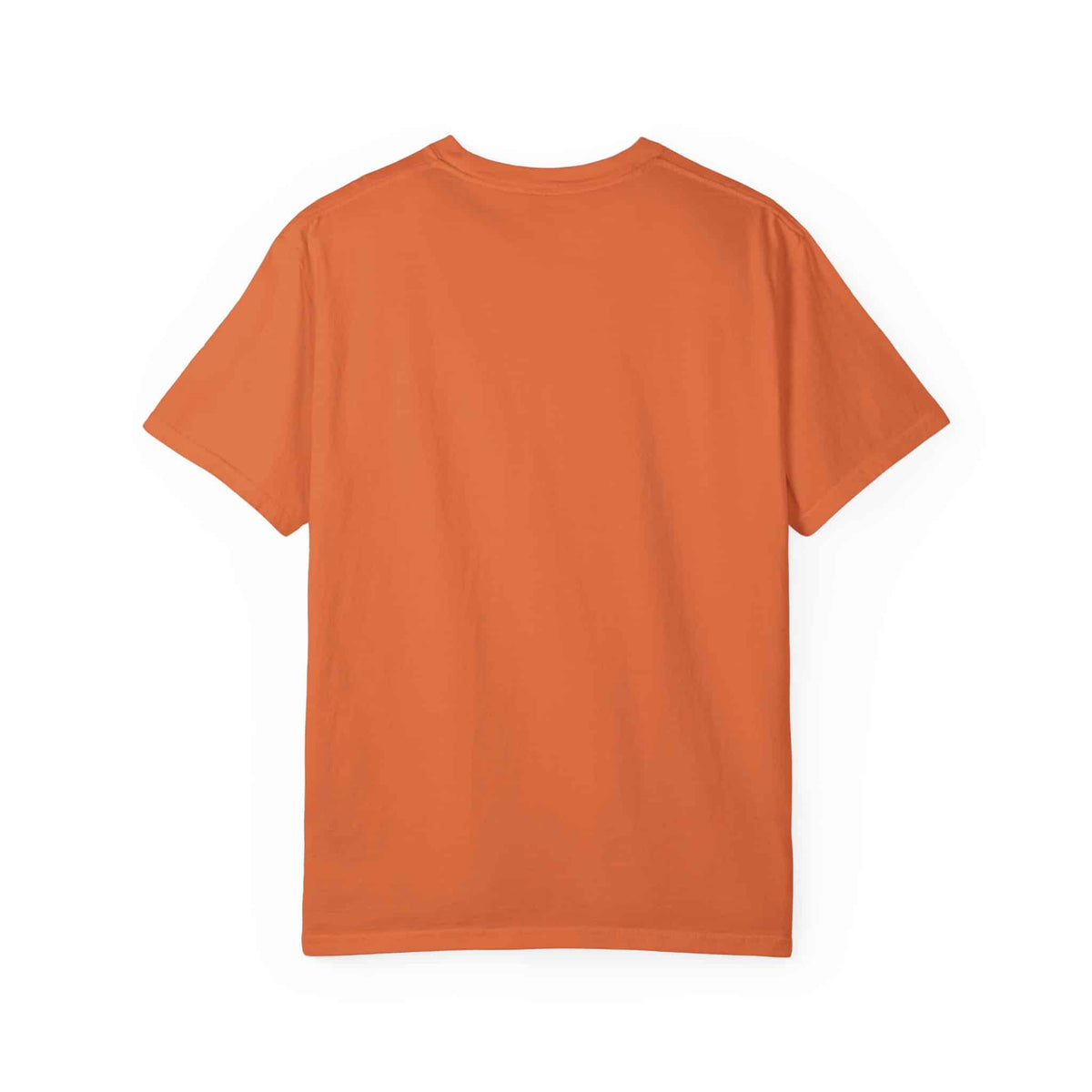 Rap Nas Live At The BBQ Unisex Garment-Dyed T-shirt image 37
