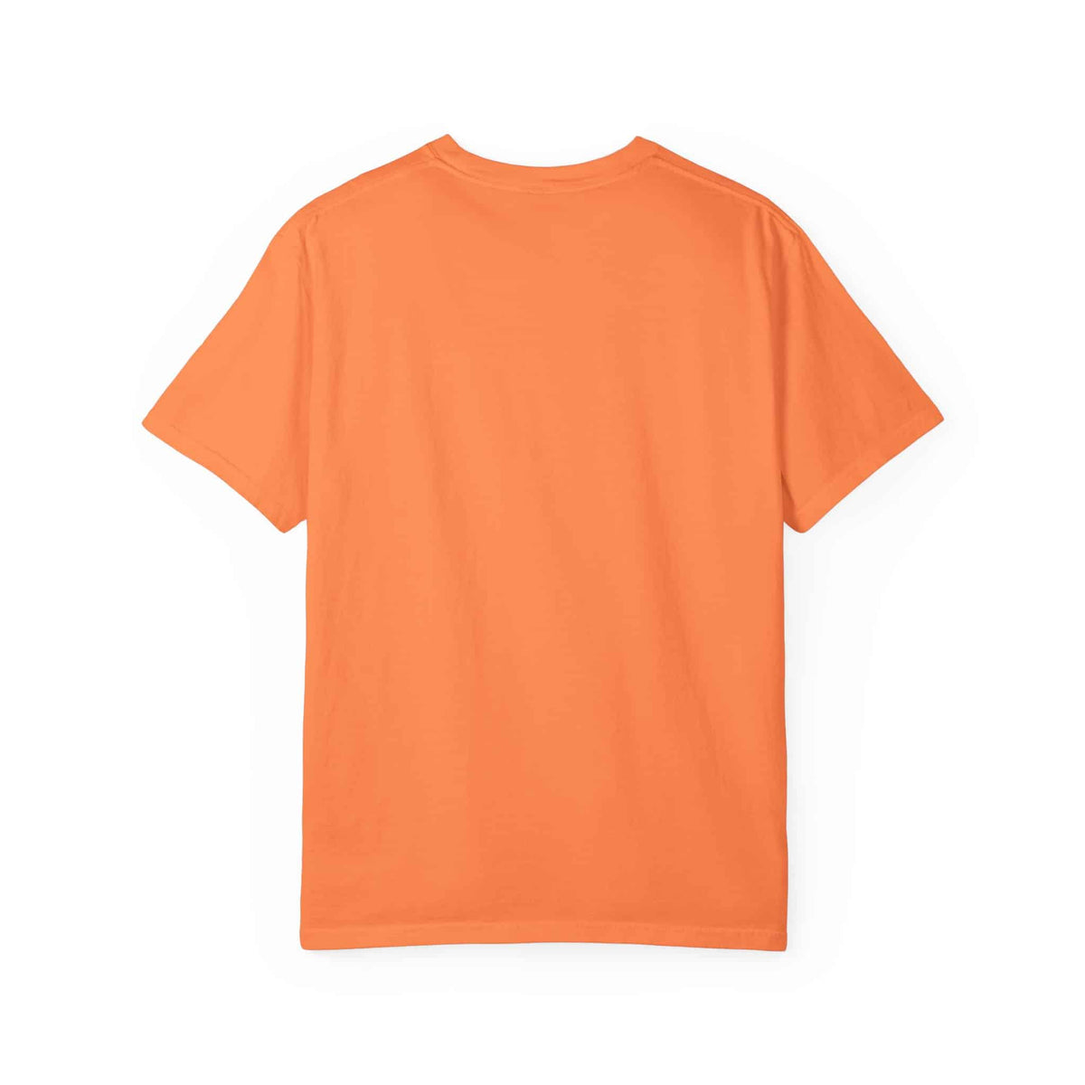 Graphic Print  Unisex Garment-Dyed T-shirt - POD0035 image 5