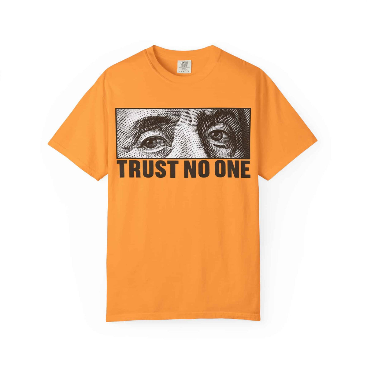 Graphic Print  Unisex Garment-Dyed T-shirt - POD0039 image