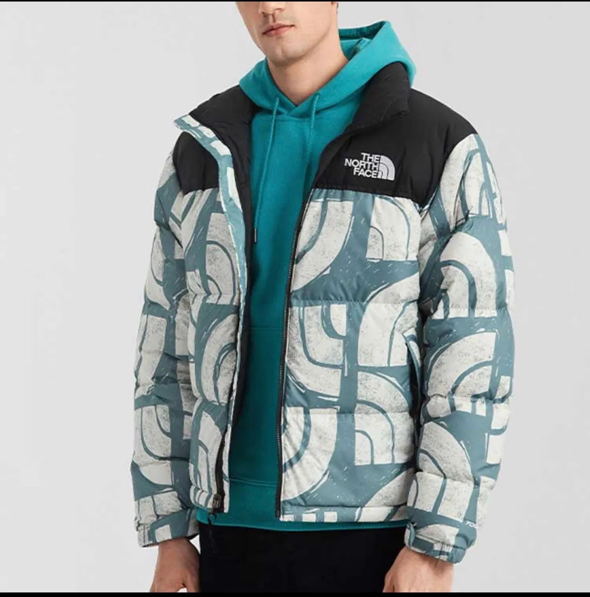 The North Face Down Jacket - TNF0006