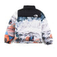 The North Face Down Jacket - TNF0020