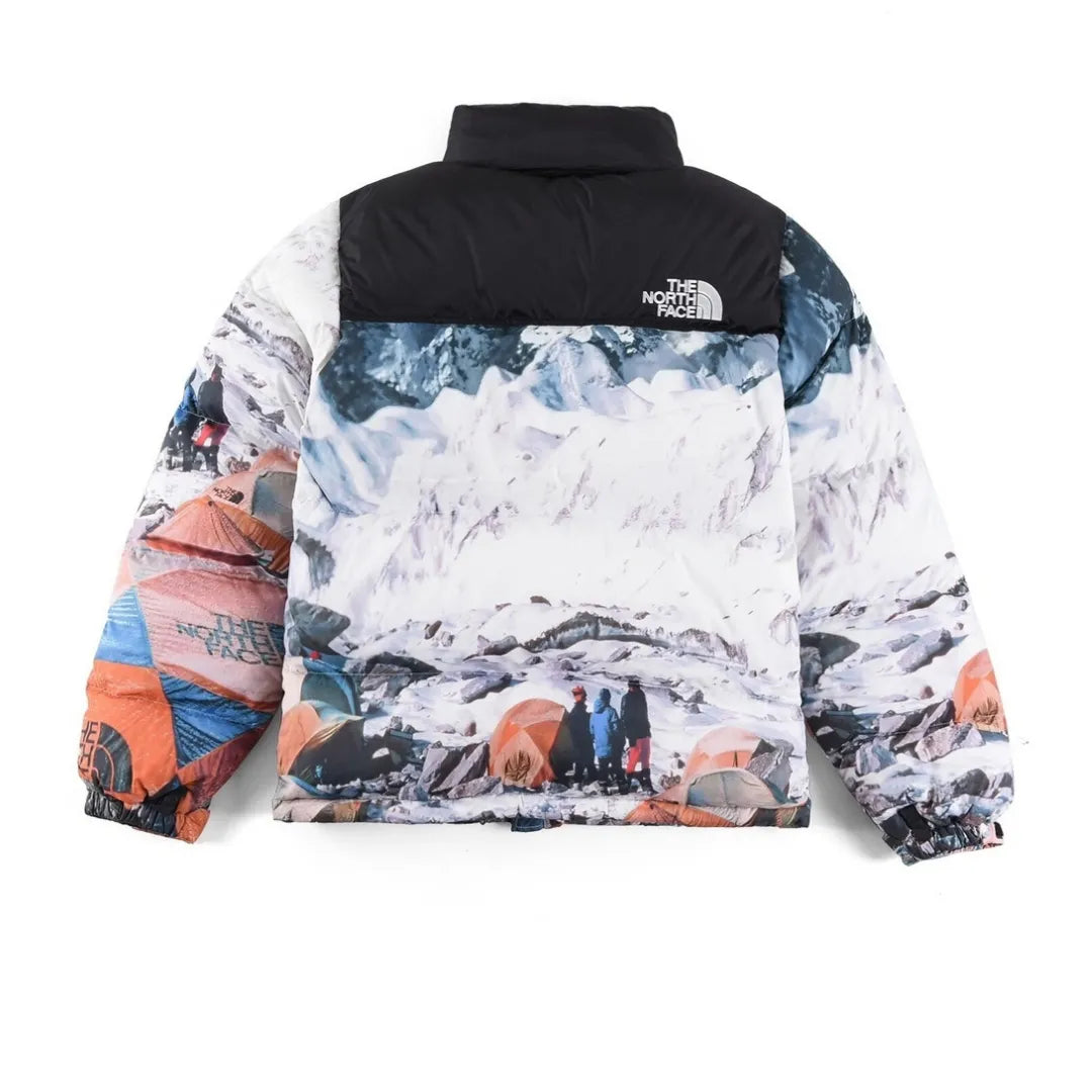 The North Face Down Jacket - TNF0020