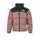 The North Face Down Jacket - TNF0021