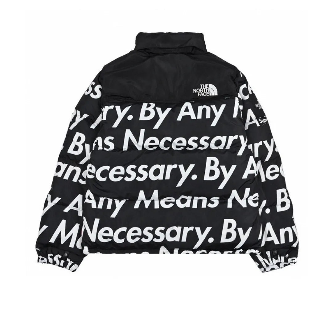 The North Face Down Jacket - TNF0024