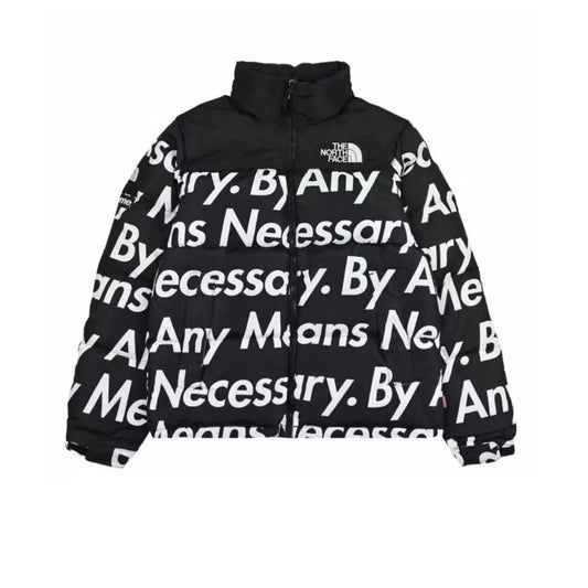 The North Face Down Jacket - TNF0024