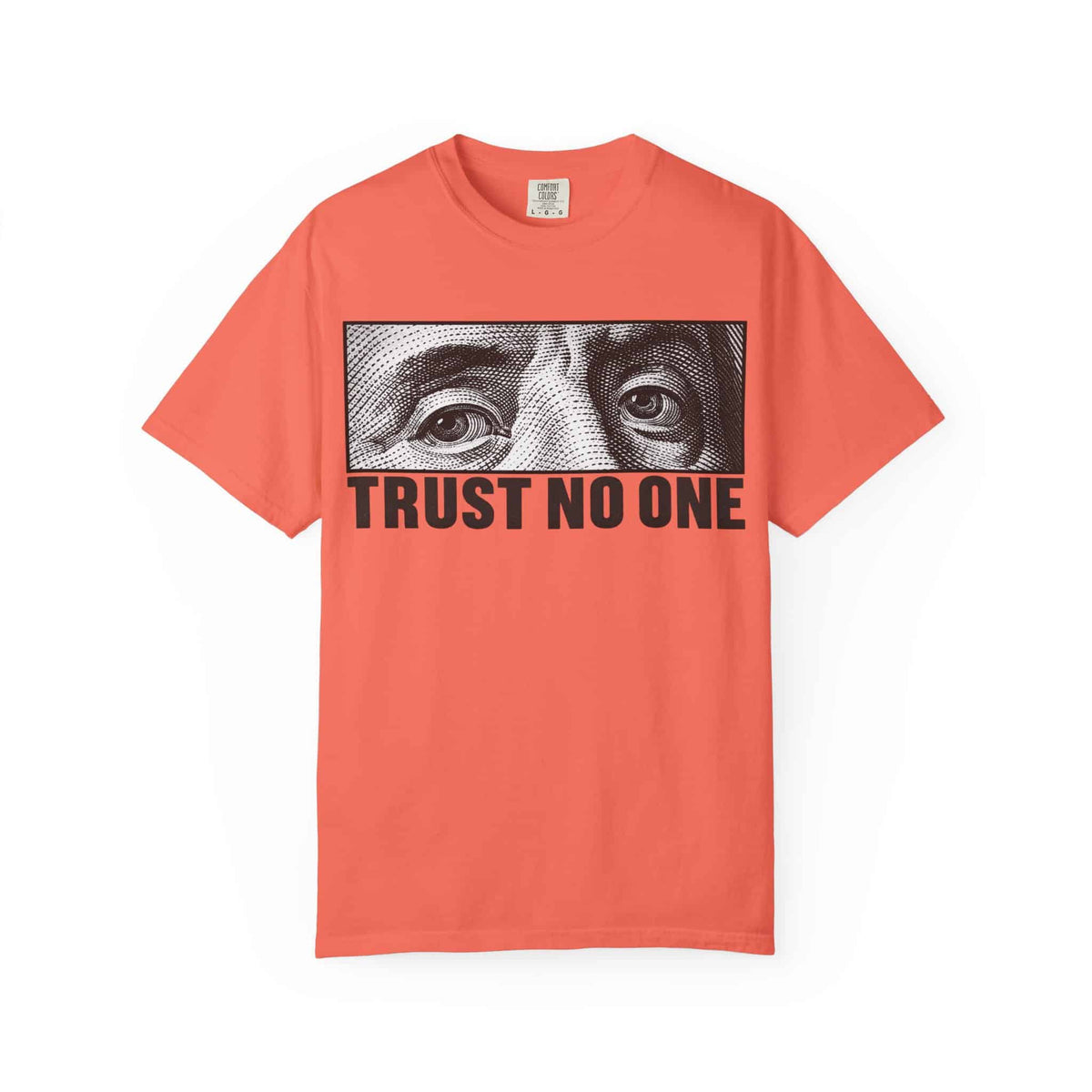 Graphic Print  Unisex Garment-Dyed T-shirt - POD0039 image