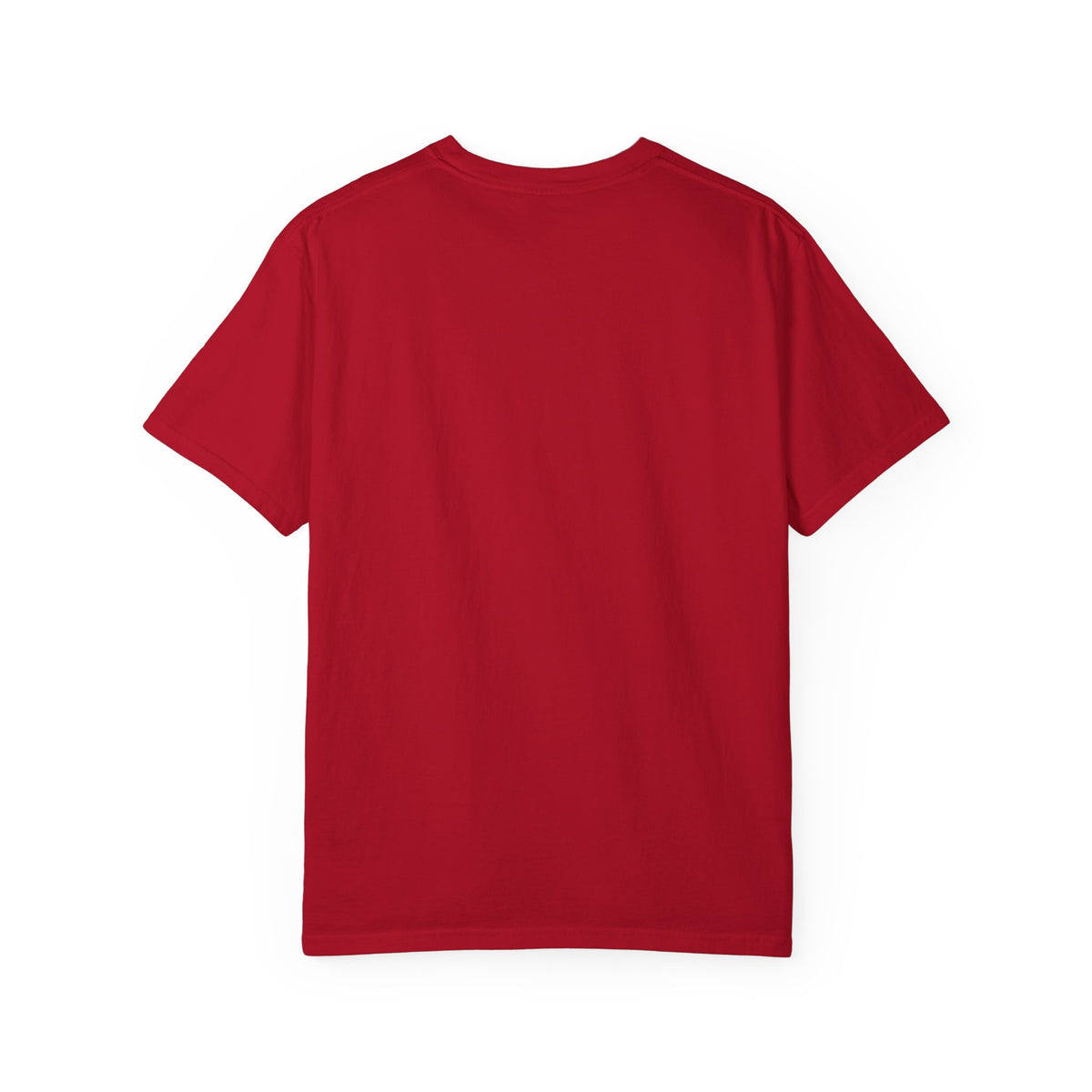 Soul Keeper Unisex Garment-Dyed T-shirt image 57