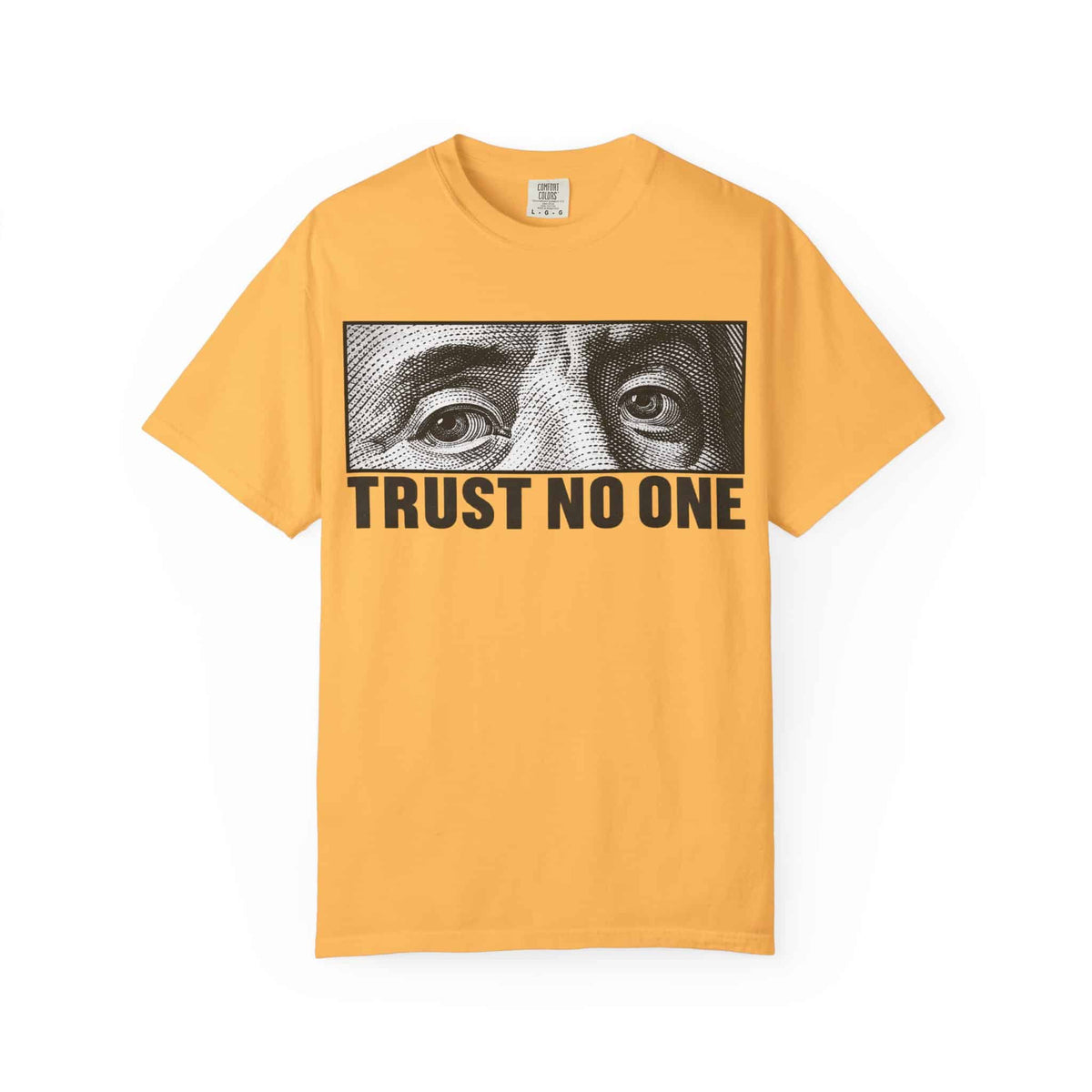 Graphic Print  Unisex Garment-Dyed T-shirt - POD0039 image