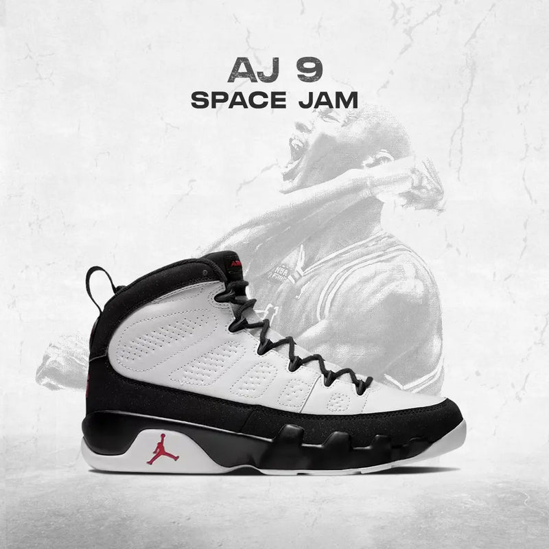 AJ 9 Space Jam
