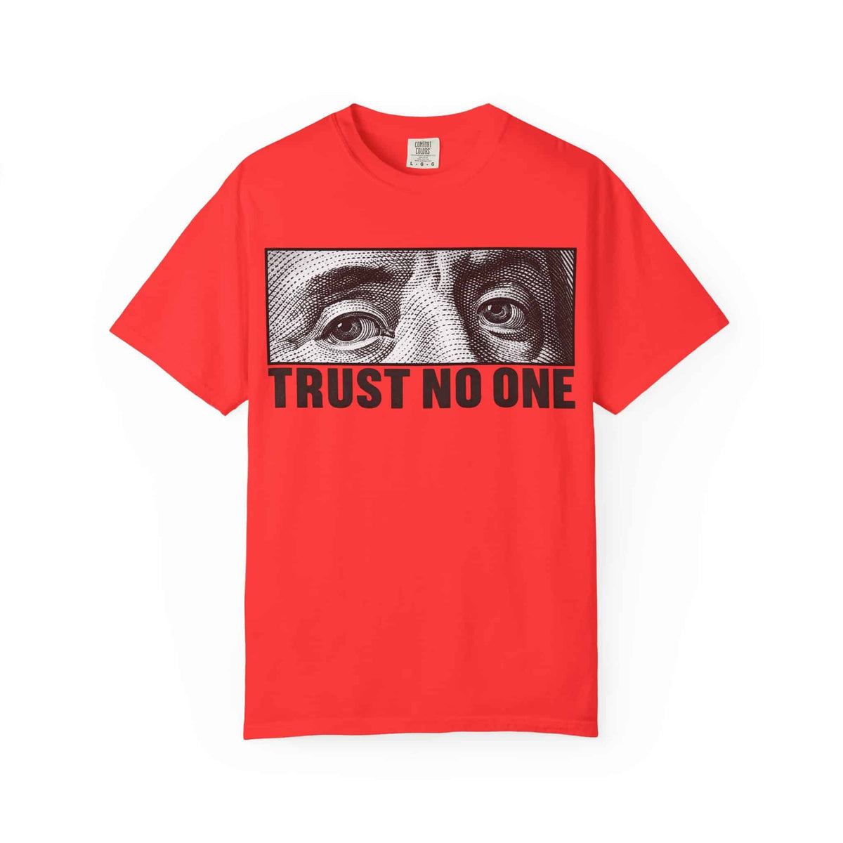 Graphic Print  Unisex Garment-Dyed T-shirt - POD0039 image