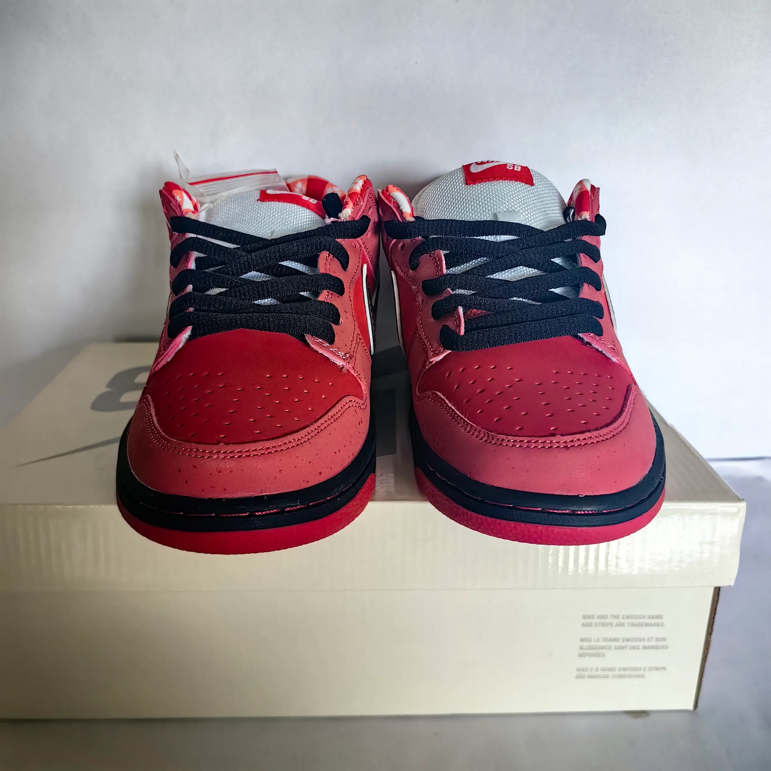 SB Dunk Low Concepts Red Lobster Shoes Sneakers - nk0002525 - Image 9