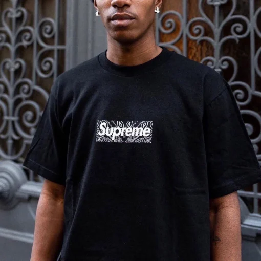 SUP Box Logo Zebra Print T-Shirt in Black - 514 - spm0000514 - Image 11