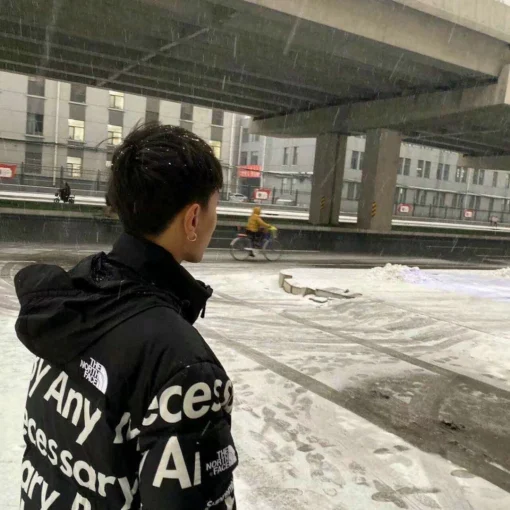 TNF Down Jacket - TNF0013 - Image 13