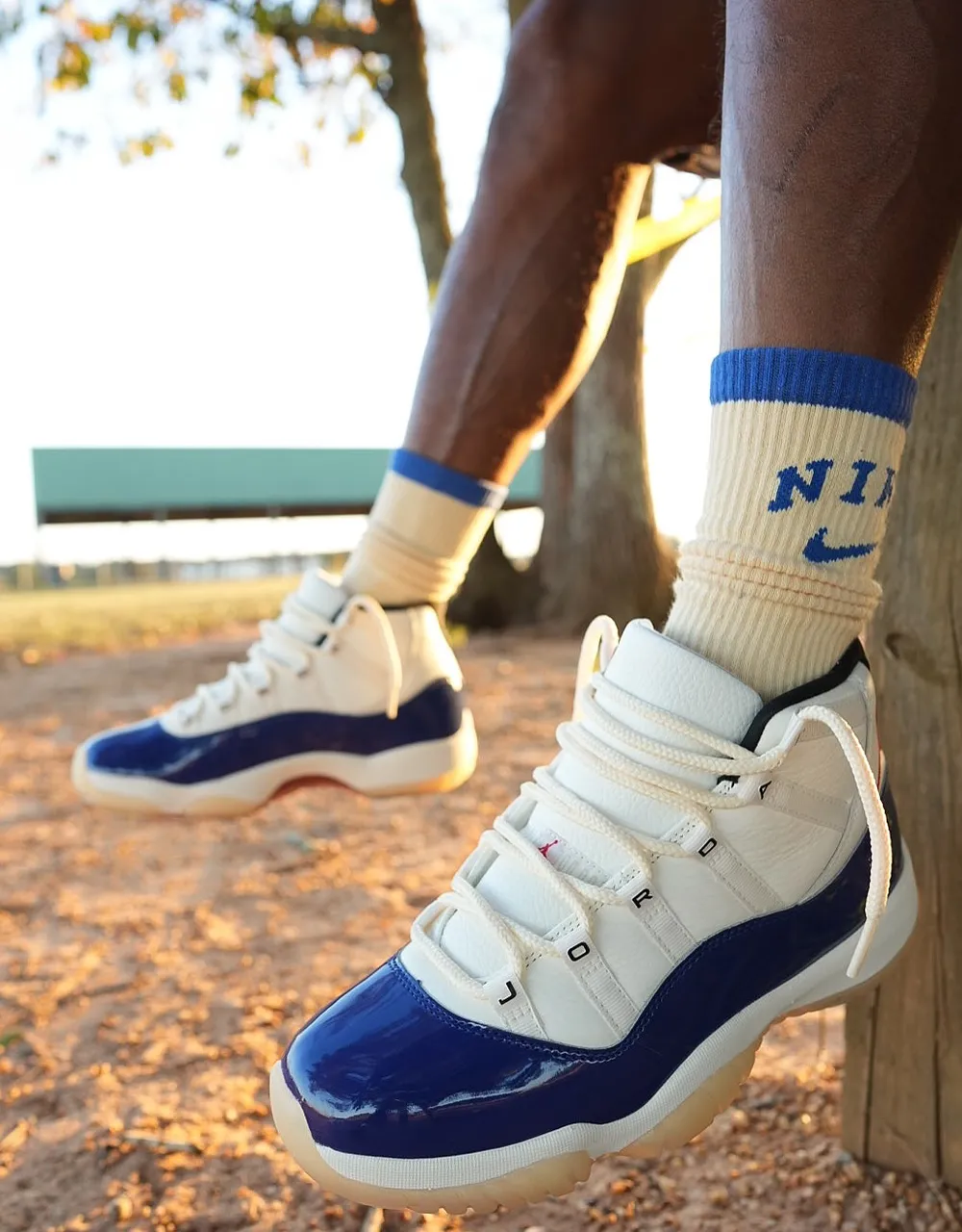 AJ 11 Rare Air