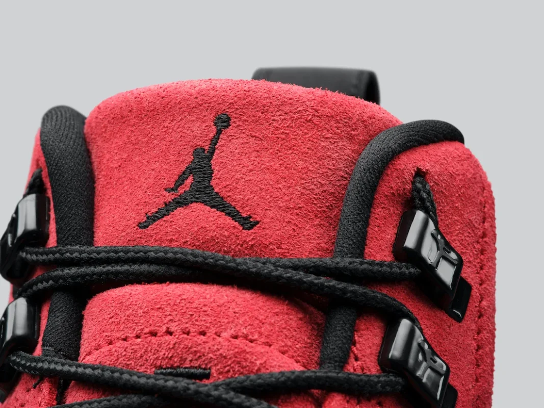 AJ 12 reverse flu game