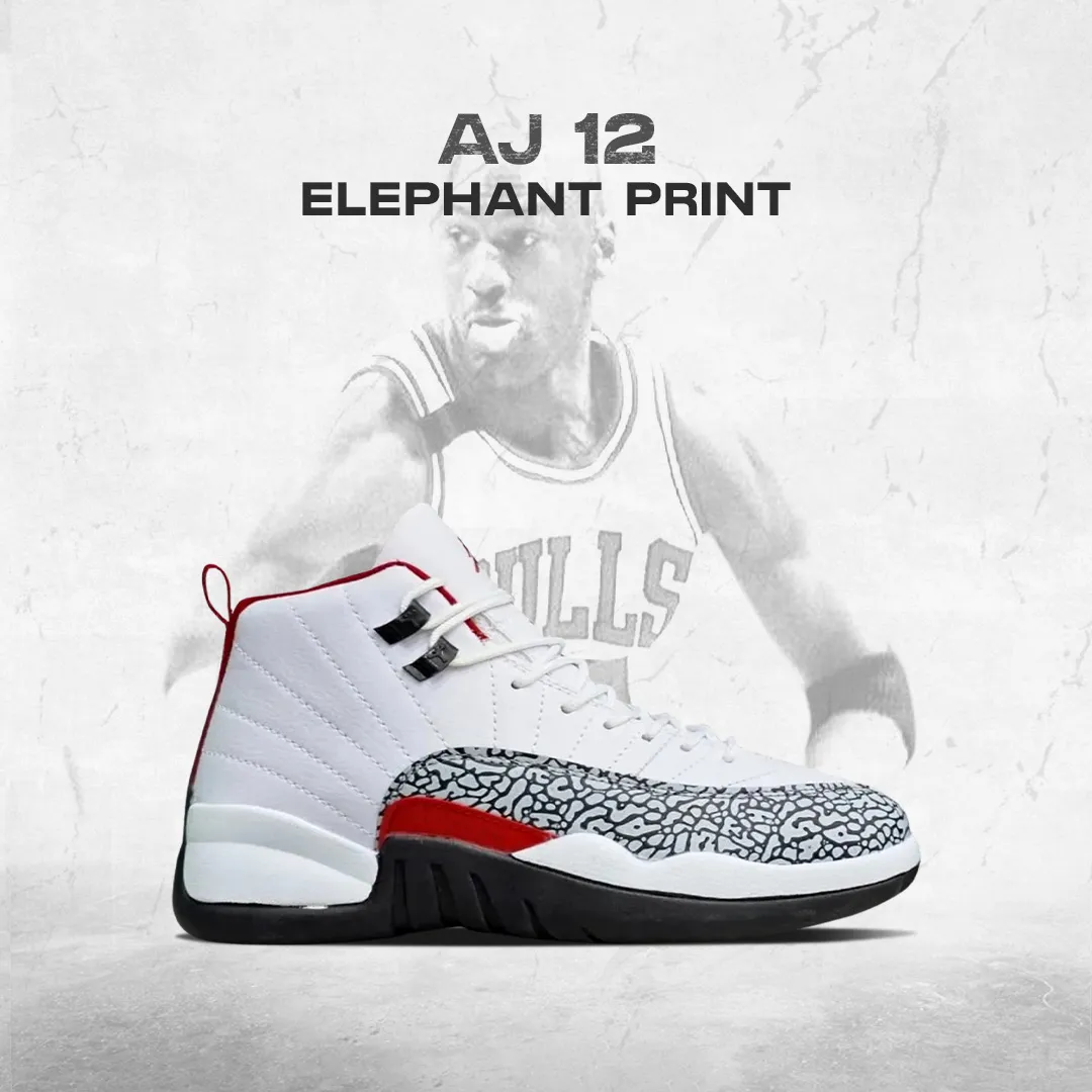 aj-12-elephant